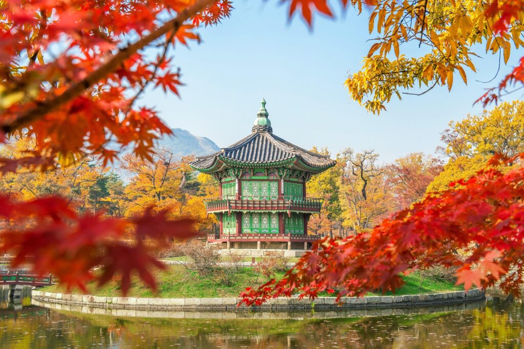 fall ksaju